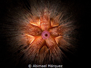 A star under water by Abimael Márquez 